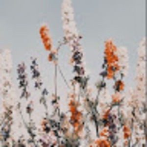 Meet your Posher, Macey